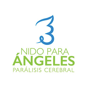 Fundación Nido Para Ángeles
